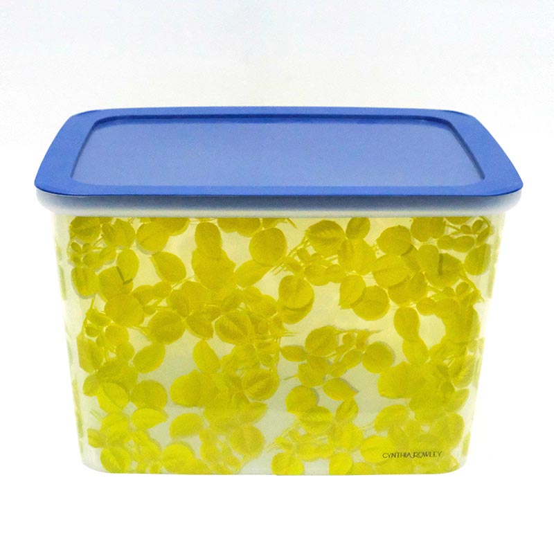 Sorteringslåda Formsprutning Etikett